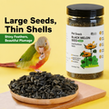 Black Sunflower Seeds for Parr - head_001.png