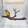 Natural Double-Branch Grapewoo - head_001.png