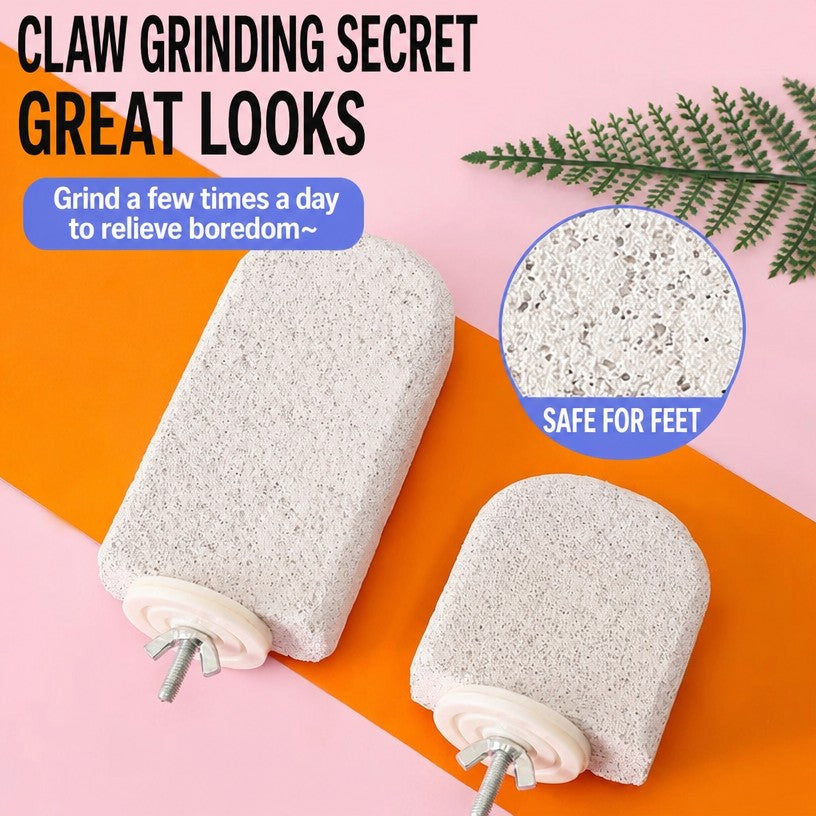 Ice Cream Bar Parrot Nail-Trim - head_002.png