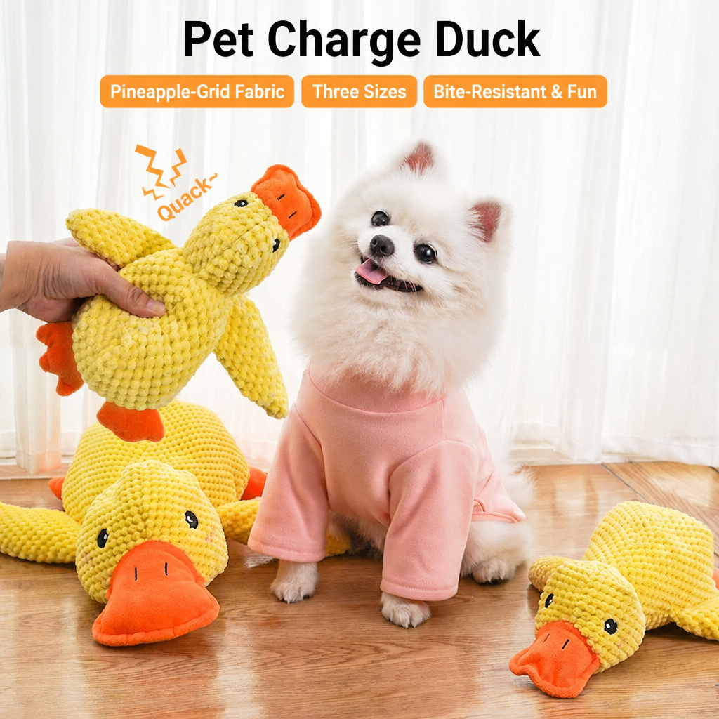 Cat & Dog Squeaky Plush Toy –  - head_002.png