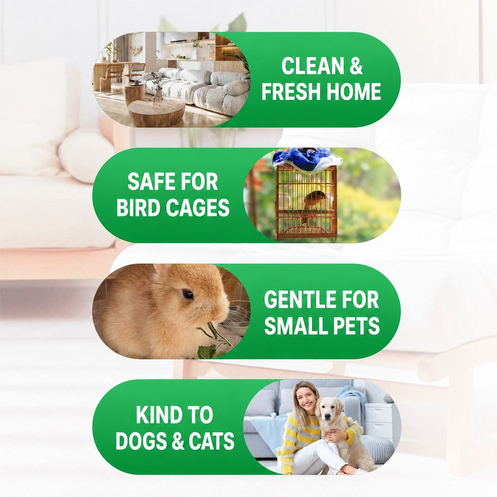 Pet Disinfectant Spray – 99.9% - head_002.png