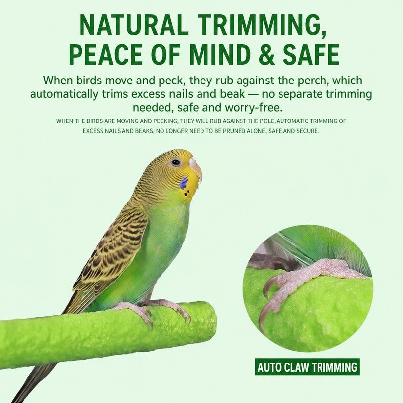 Frosted Parrot Perch – Anti-Sl - head_002.png