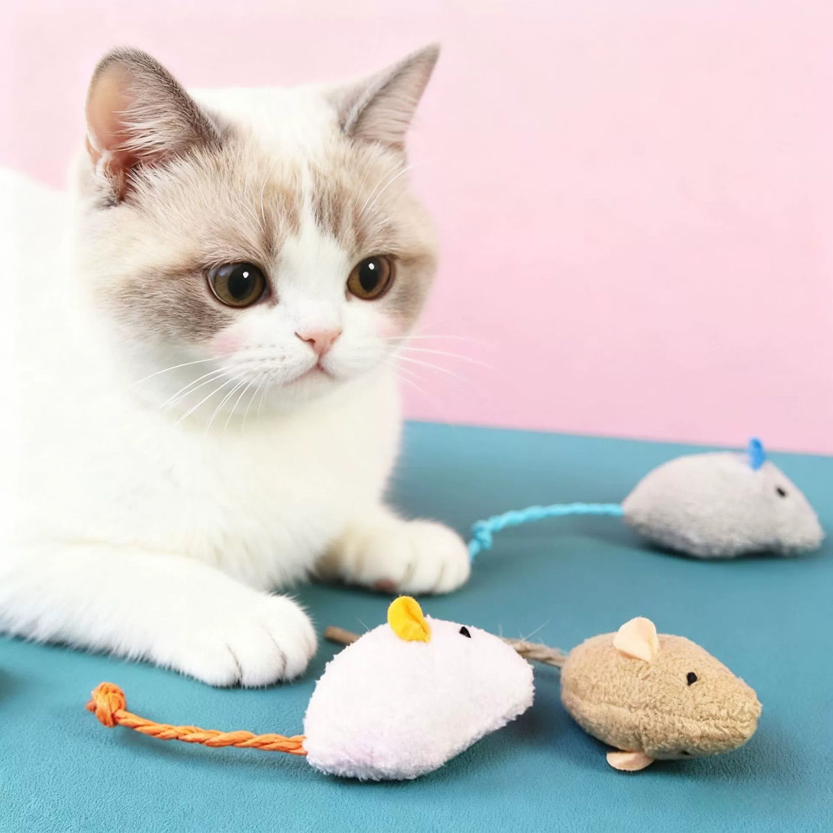Catnip Mouse Cat Toy – Durable - head_002.webp