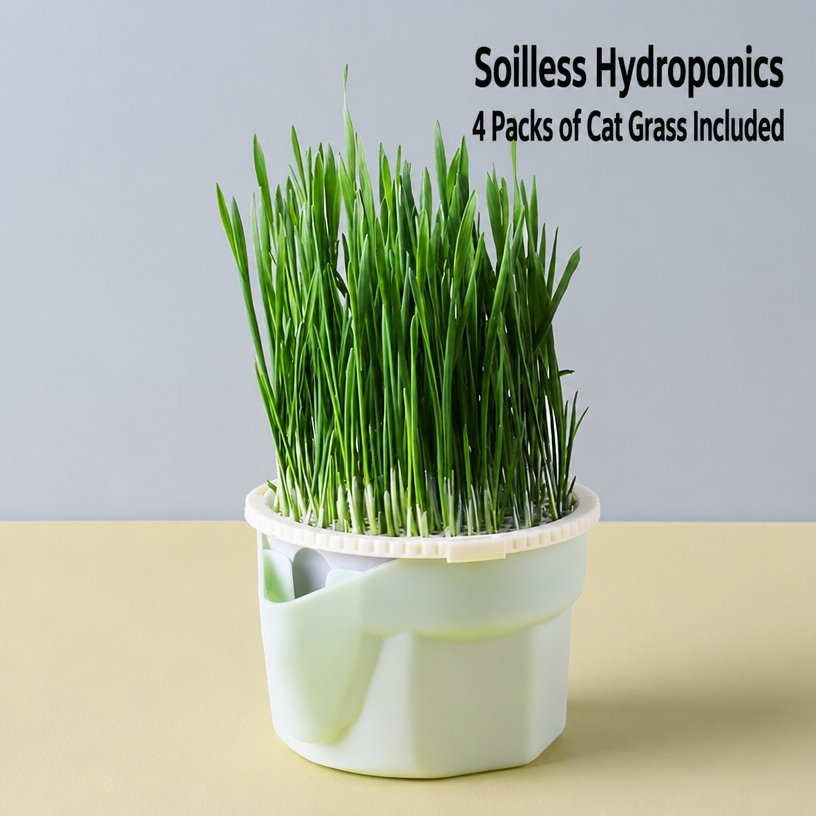 Cat Grass Growing Cup – Soil-F - head_002.png