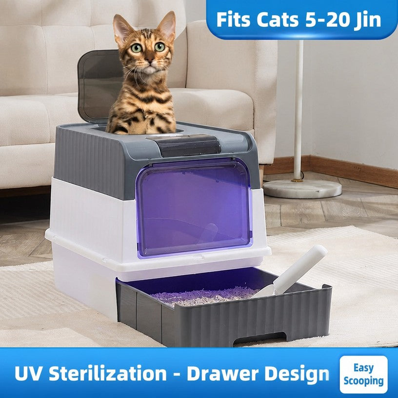 Top-Entry Fully Enclosed Cat L - head_002.png