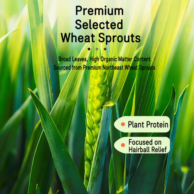 Freeze-Dried Cat Grass Granule - head_002.png