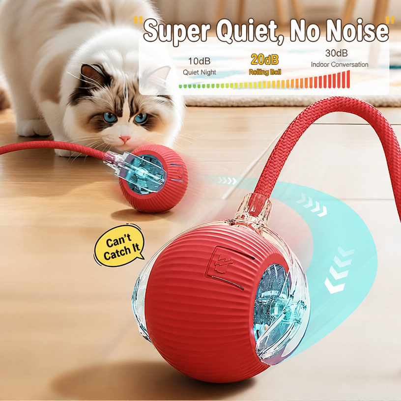 Smart Interactive Cat Ball – A - head_002.png