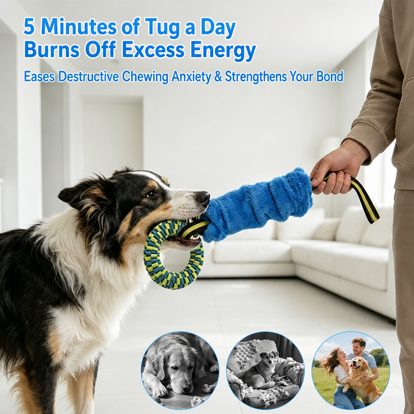 Pet Tug Rope Toy – Durable Tea - head_003.png