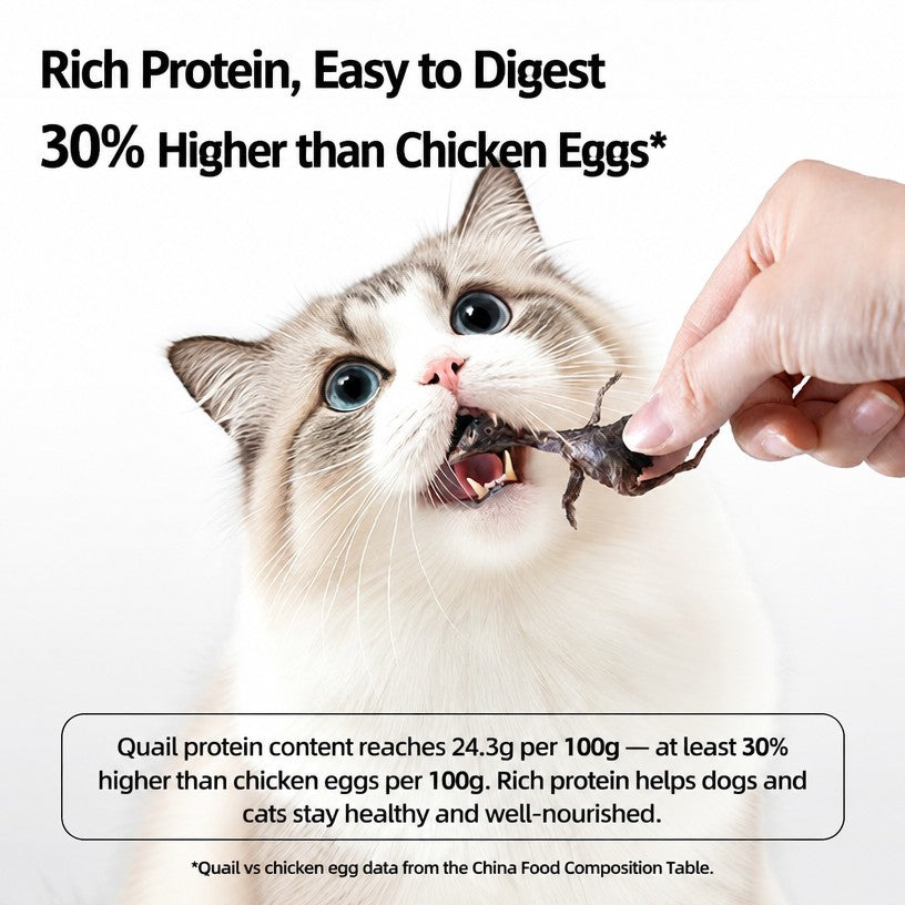 Freeze-Dried Quail Treats – Hi - head_003.png