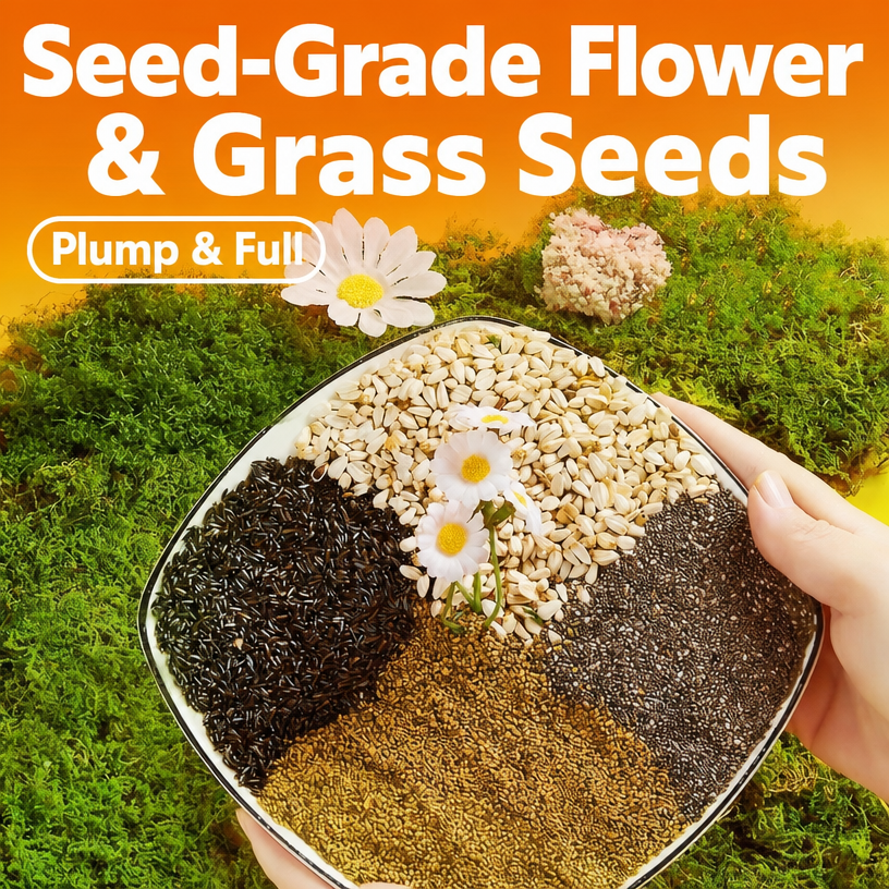 Lovebird-Specific Seed Mix wit - head_003.png