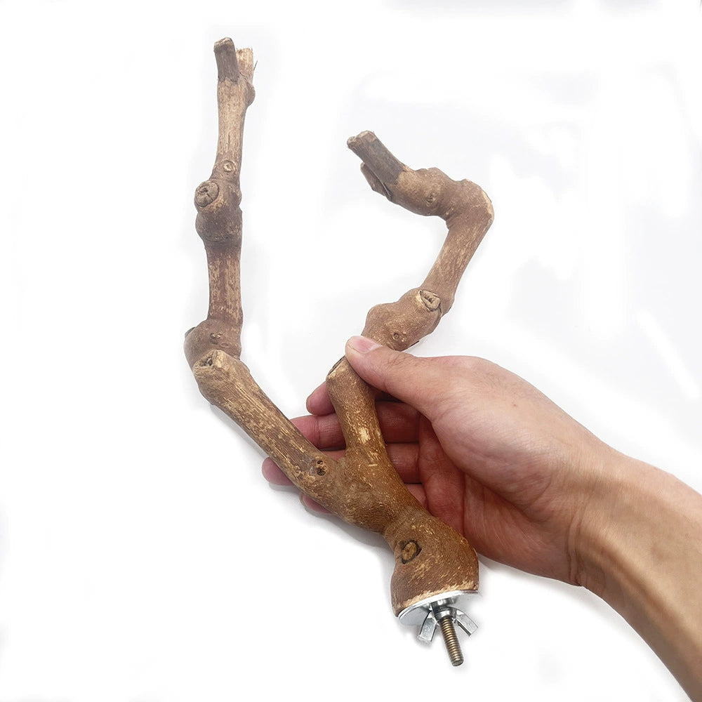 Natural Double-Branch Grapewoo - head_003.webp