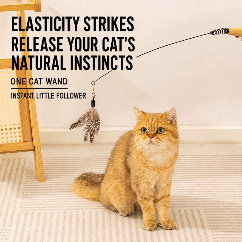 CFA-Grade Cat Wand Toy – Long  - head_003.png