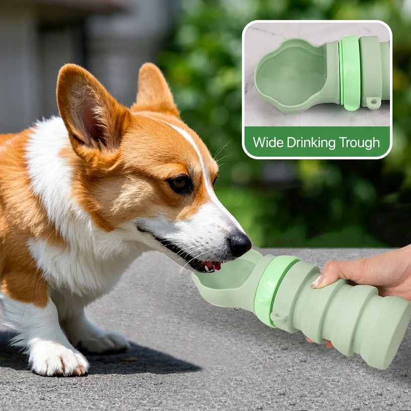 Portable Folding Pet Water Bot - head_003.png