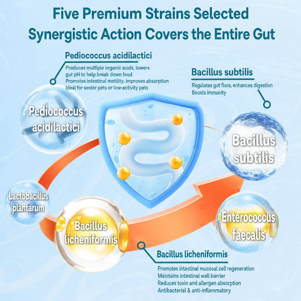 Probiotics for Cats & Dogs – A - head_003.png