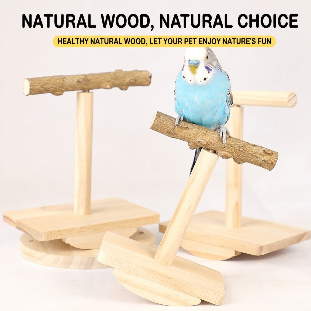 Prickly Ash Wood Parrot Rocker - head_003.jpg