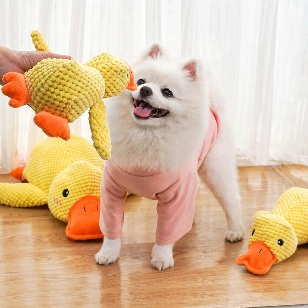 Cat & Dog Squeaky Plush Toy –  - head_003.png