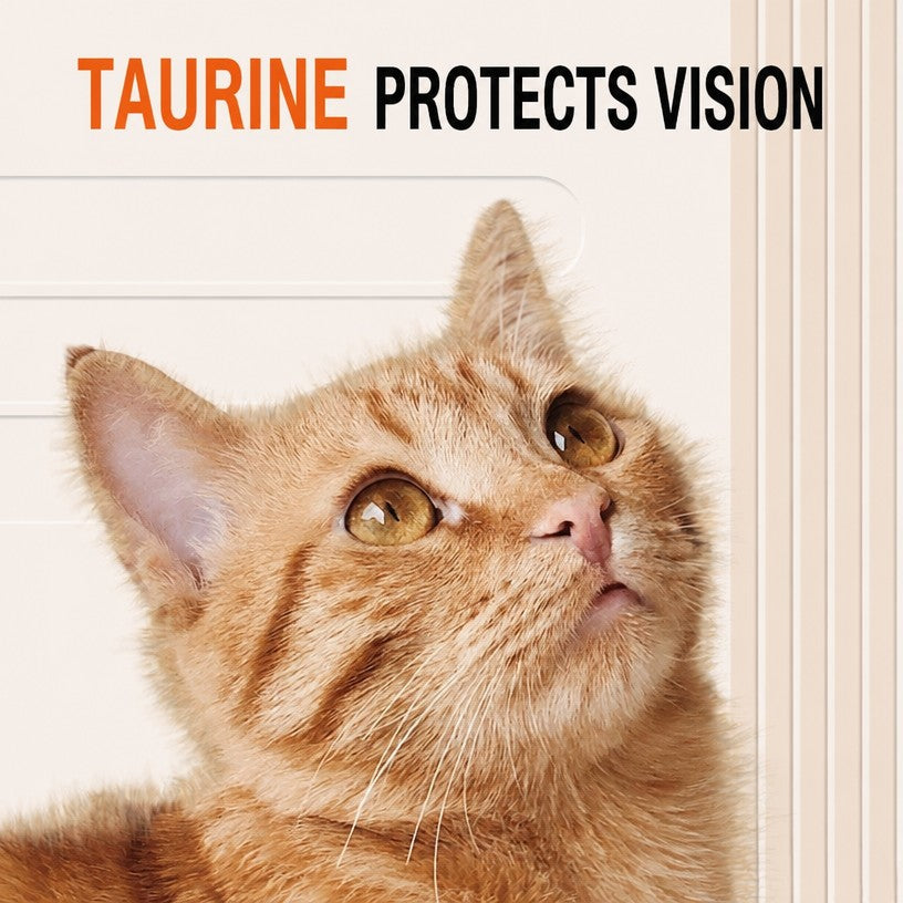 Complete Cat Food – All-Stage  - head_003.png