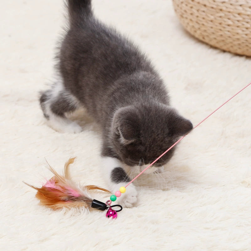 Suction Cup Cat Wand Toy – Lon - head_003.webp