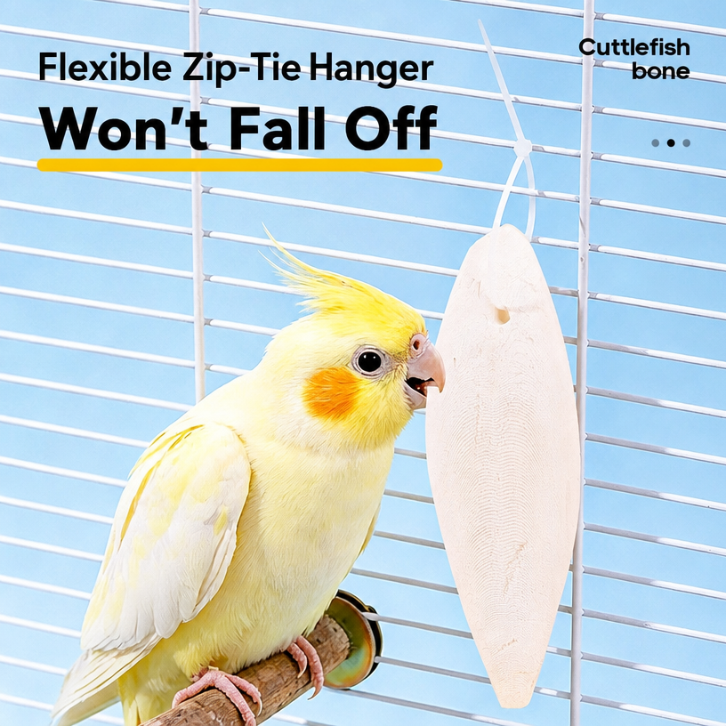 High-Calcium Cuttlebone Chew S - head_004.png