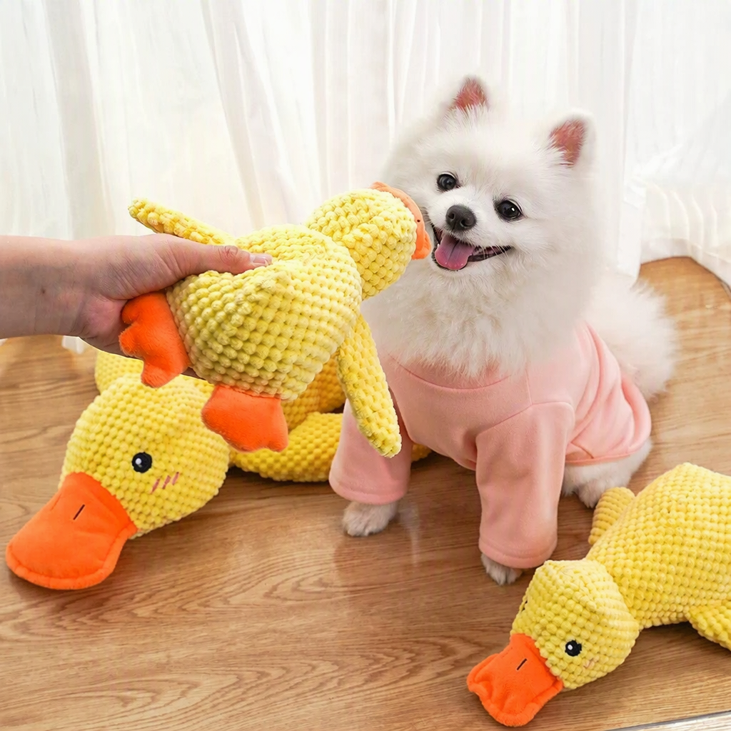 Cat & Dog Squeaky Plush Toy –  - head_004.png