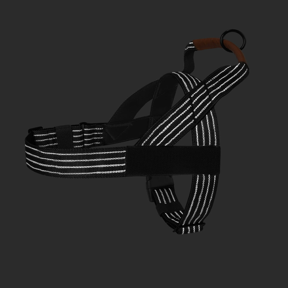 No-Pull Dog Harness & Leash Se - head_004.png