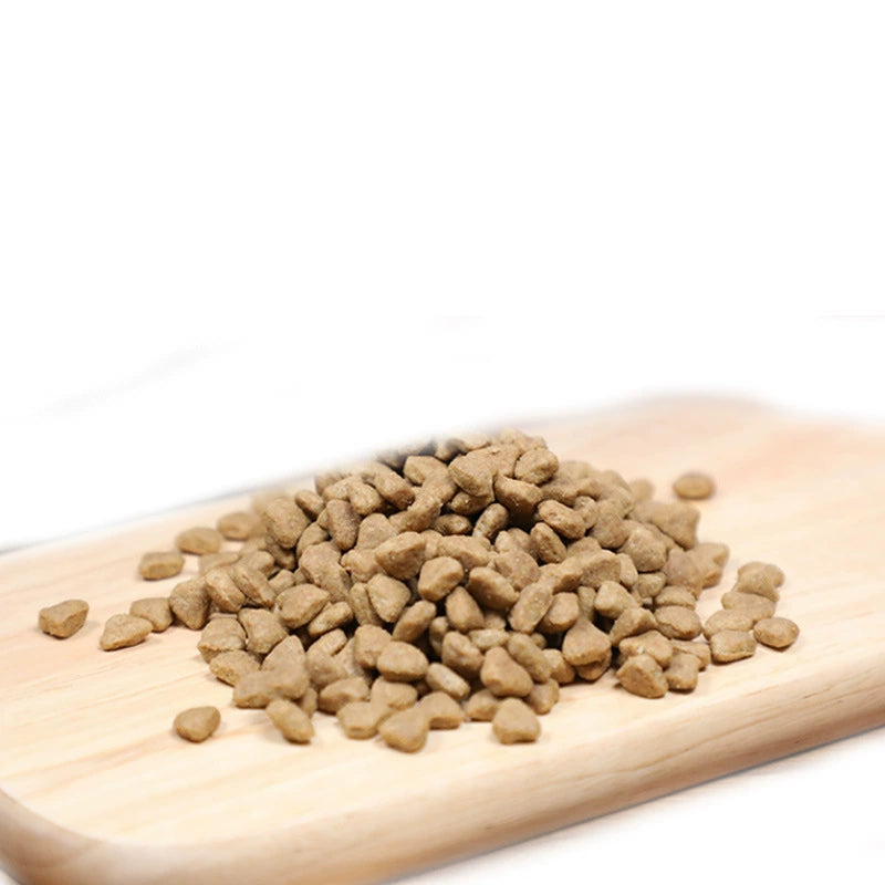 Indoor Adult Cat Food – Comple - head_004.webp