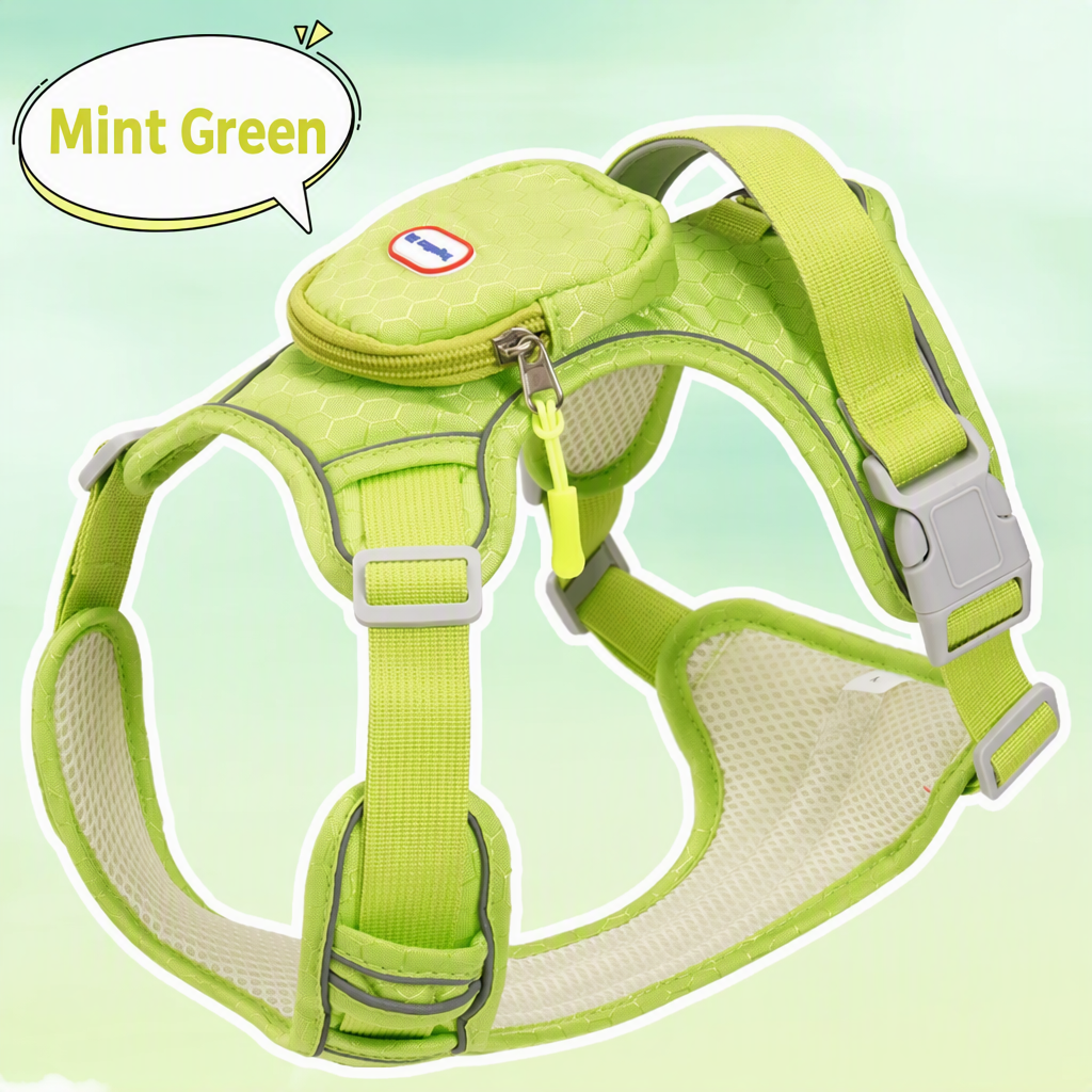 No-Pull Dog Harness & Leash Se - head_004.png