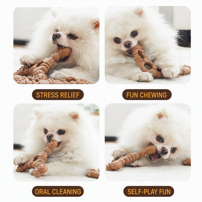 Dog Chew Toy Bone Set – Bite-R - head_004.png