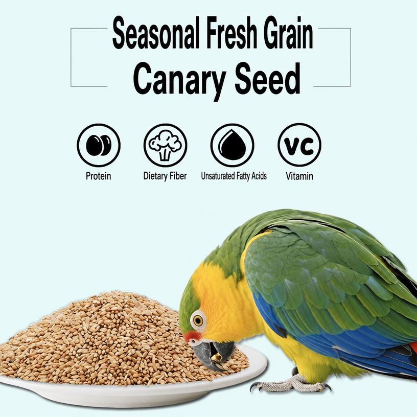 Canary Seed for Parrots &amp;  - head_004.png