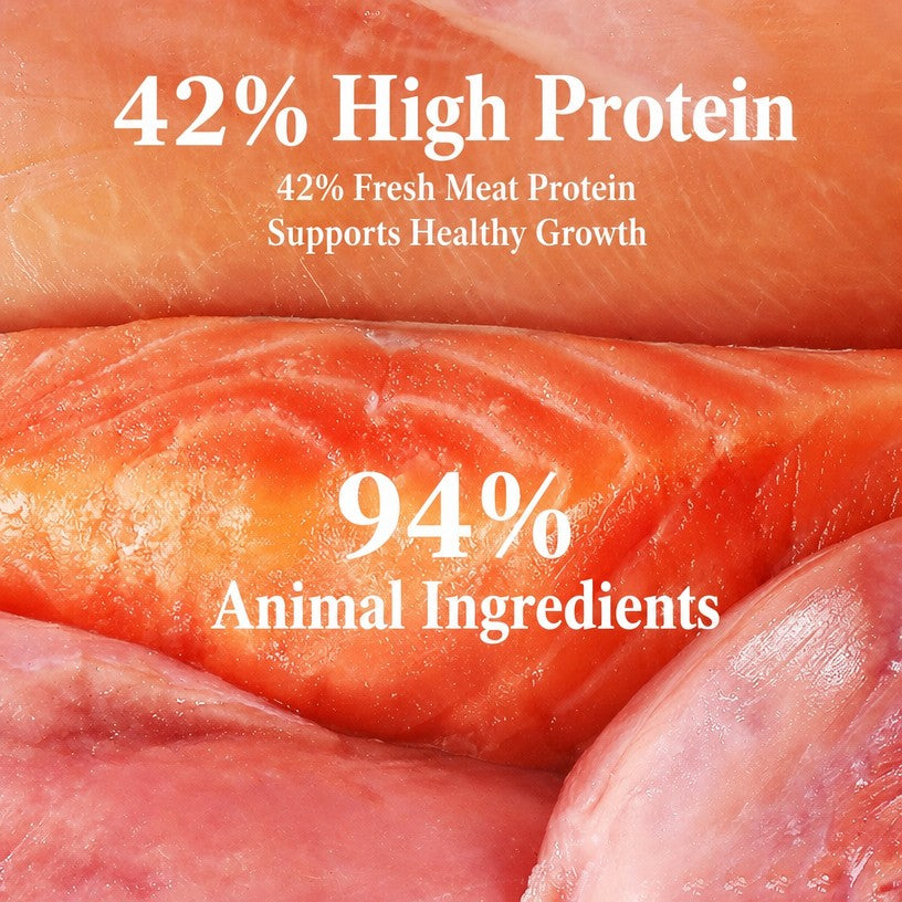 Grain-Free High-Protein Baked  - head_004.png
