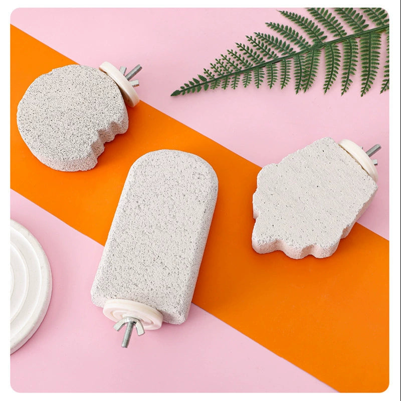 Ice Cream Bar Parrot Nail-Trim - head_004.webp