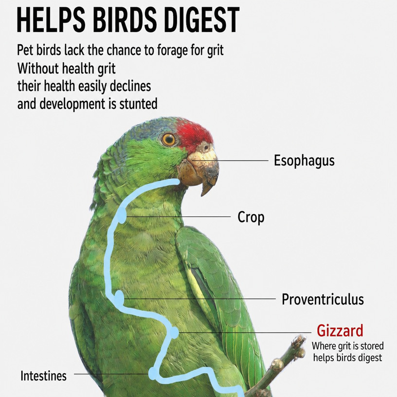 Bird Grit &amp; Mineral Supple - head_004.png