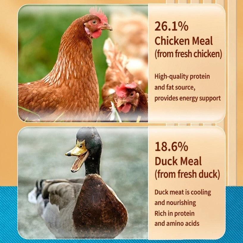 Complete Cat Food – All-Stage  - head_004.png