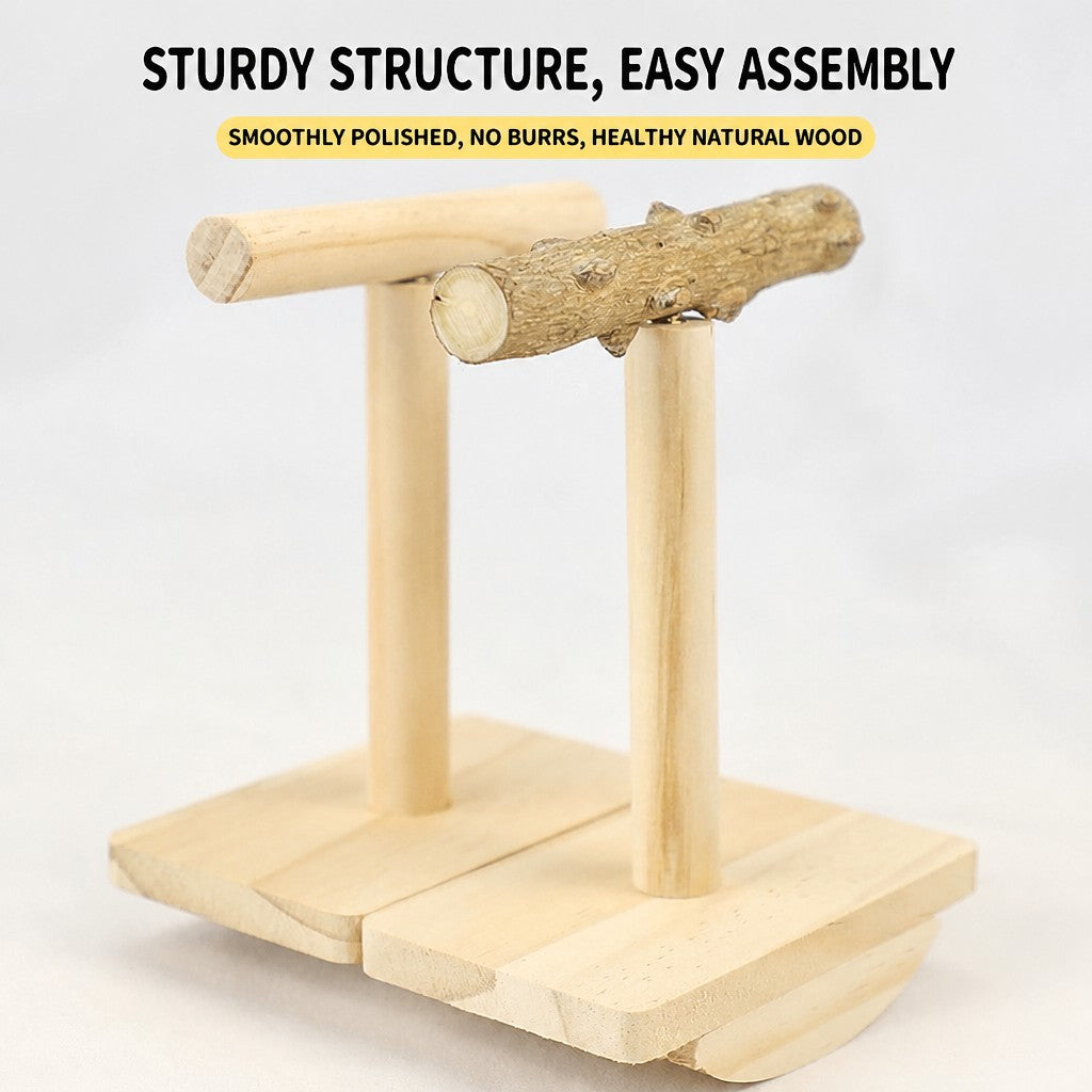 Prickly Ash Wood Parrot Rocker - head_004.jpg