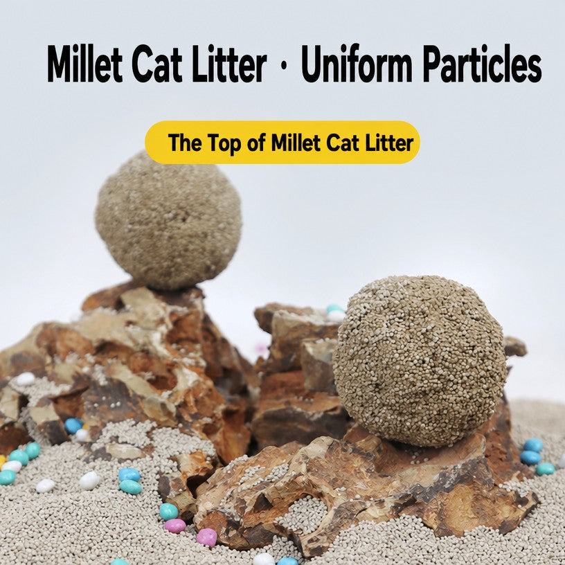 Small-Particle Bentonite Cat L - head_004.png