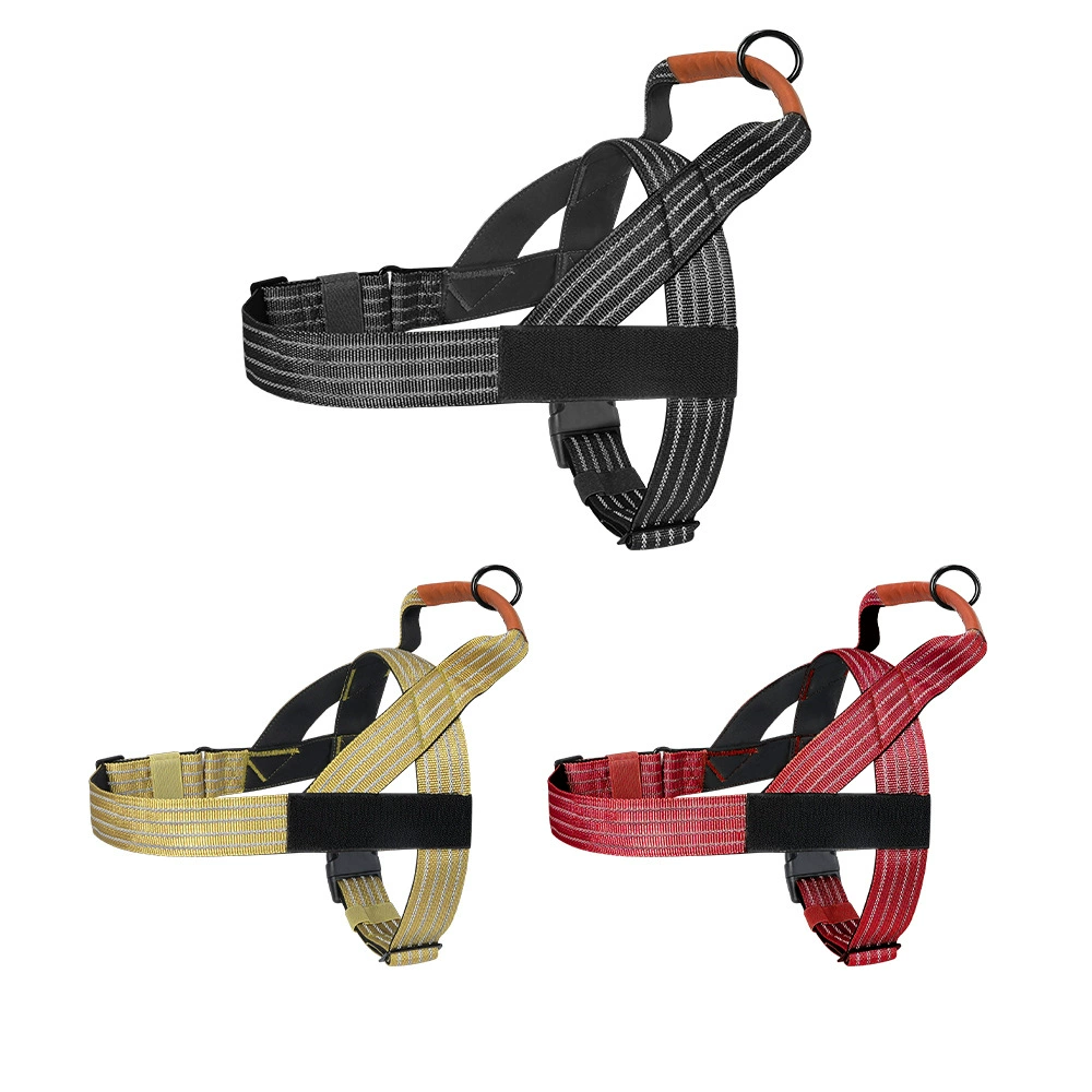 No-Pull Dog Harness & Leash Se - head_005.png