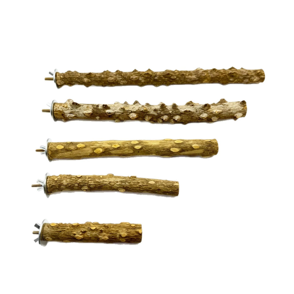 Natural Prickly Ash Wood Perch - head_005.webp