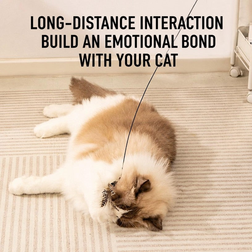 CFA-Grade Cat Wand Toy – Long  - head_005.png