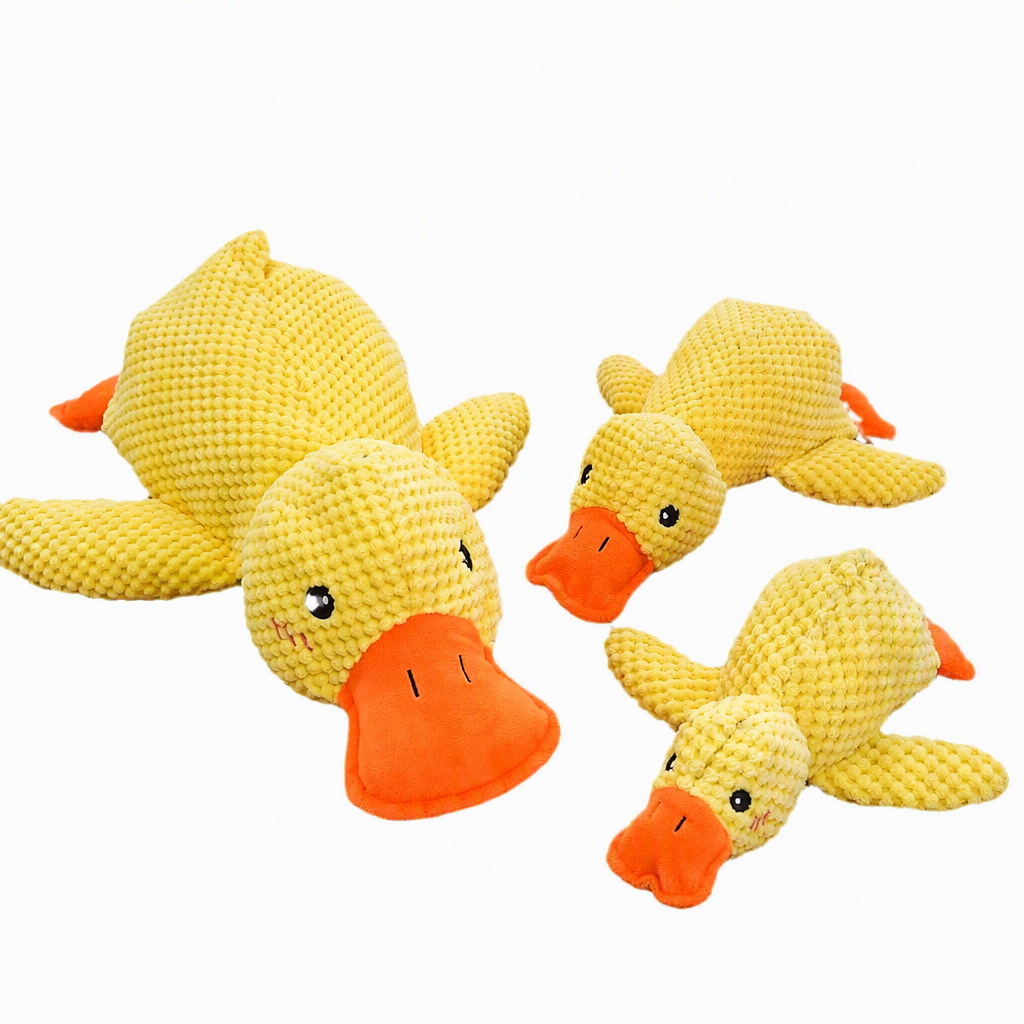 Cat & Dog Squeaky Plush Toy –  - head_005.png