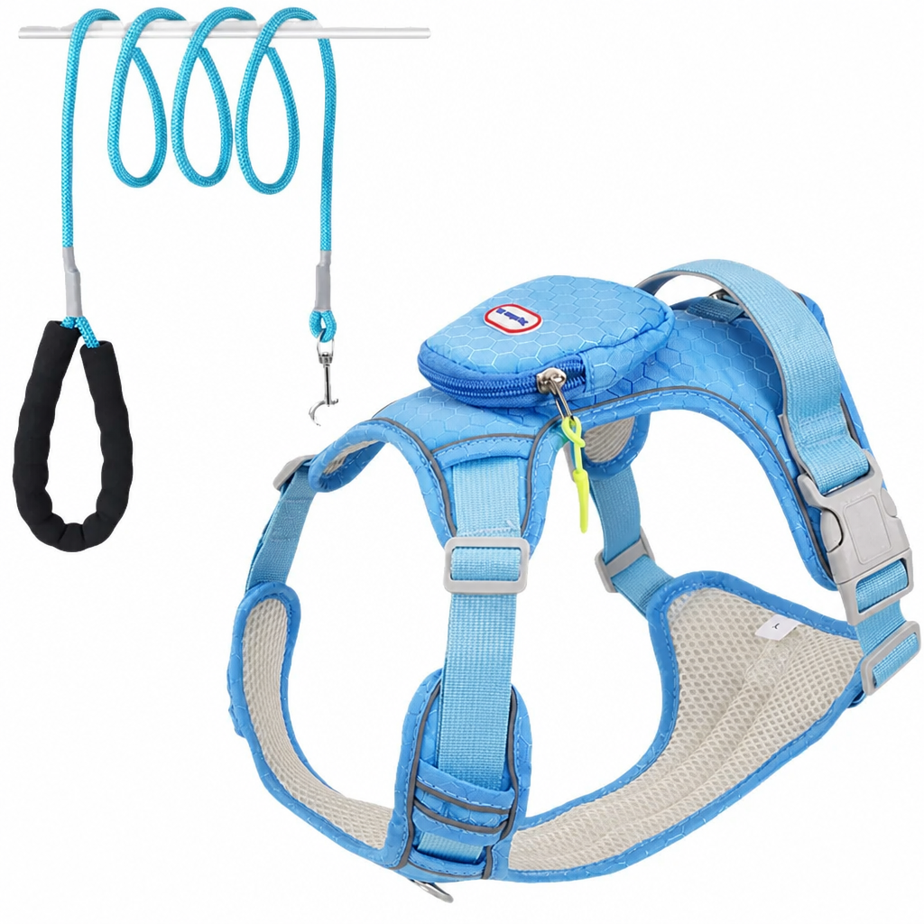 No-Pull Dog Harness & Leash Se - head_005.png