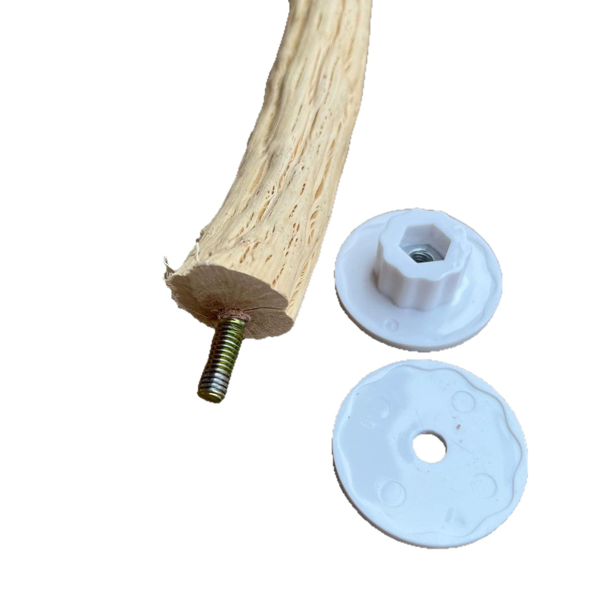 Wild Pear Wood Perch for Parro - head_005.webp