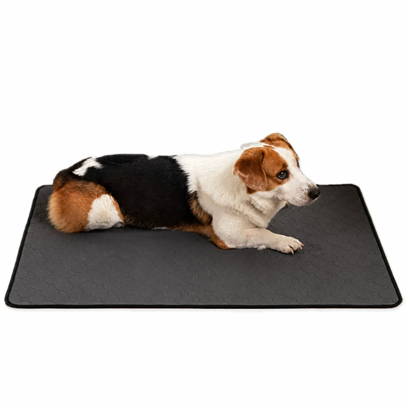 Washable Reusable Pet Urine Pa - head_005.png