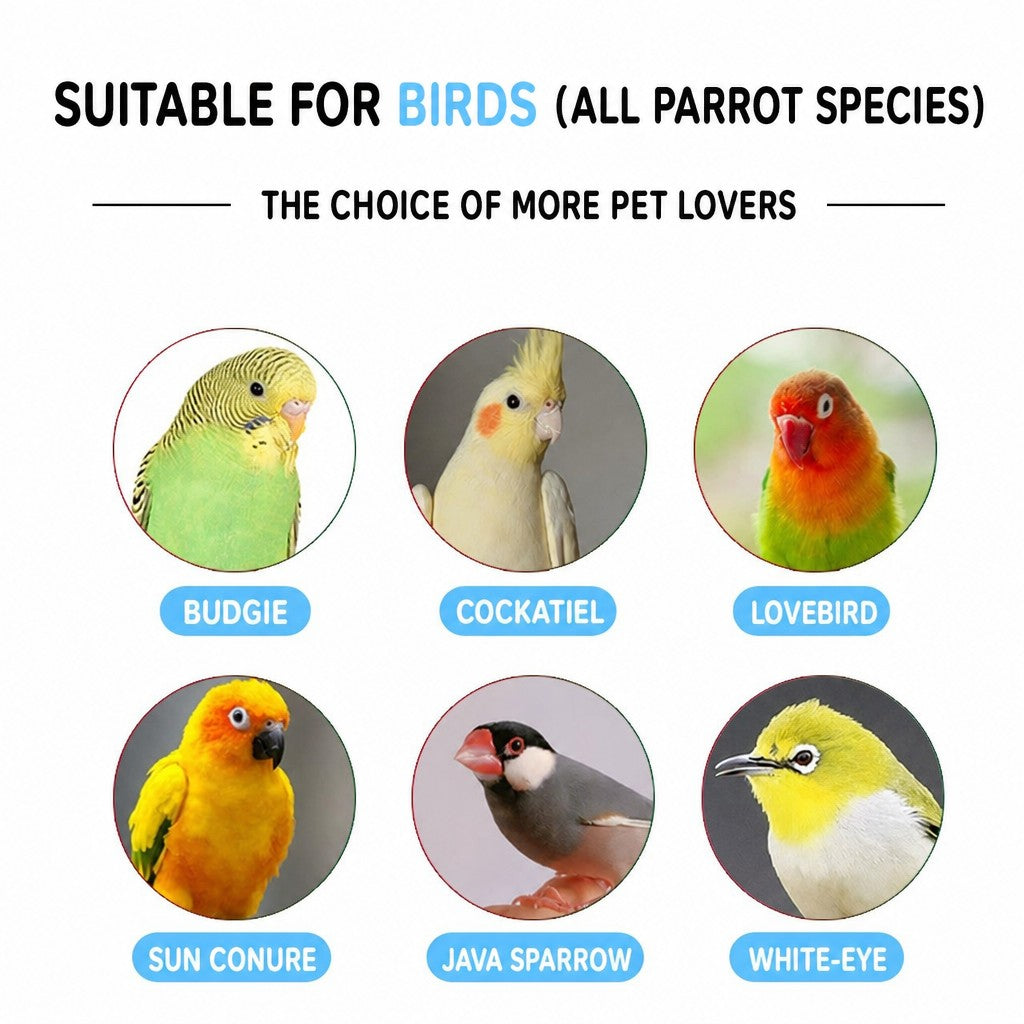 Prickly Ash Wood Parrot Rocker - head_005.jpg