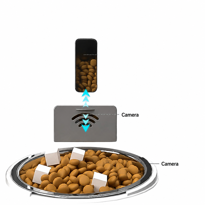 Cat Starter Kit – Complete Cat - head_005.png