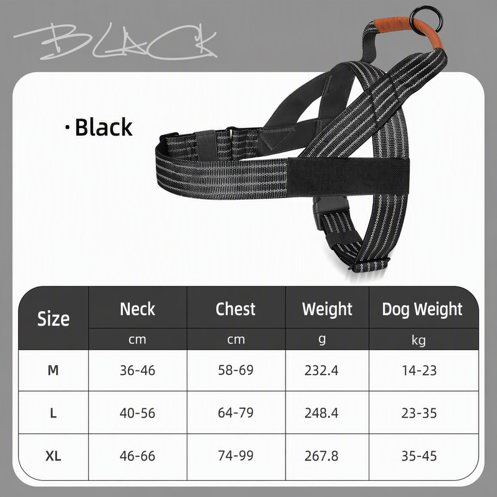 No-Pull Dog Harness & Leash Se - head_006.png