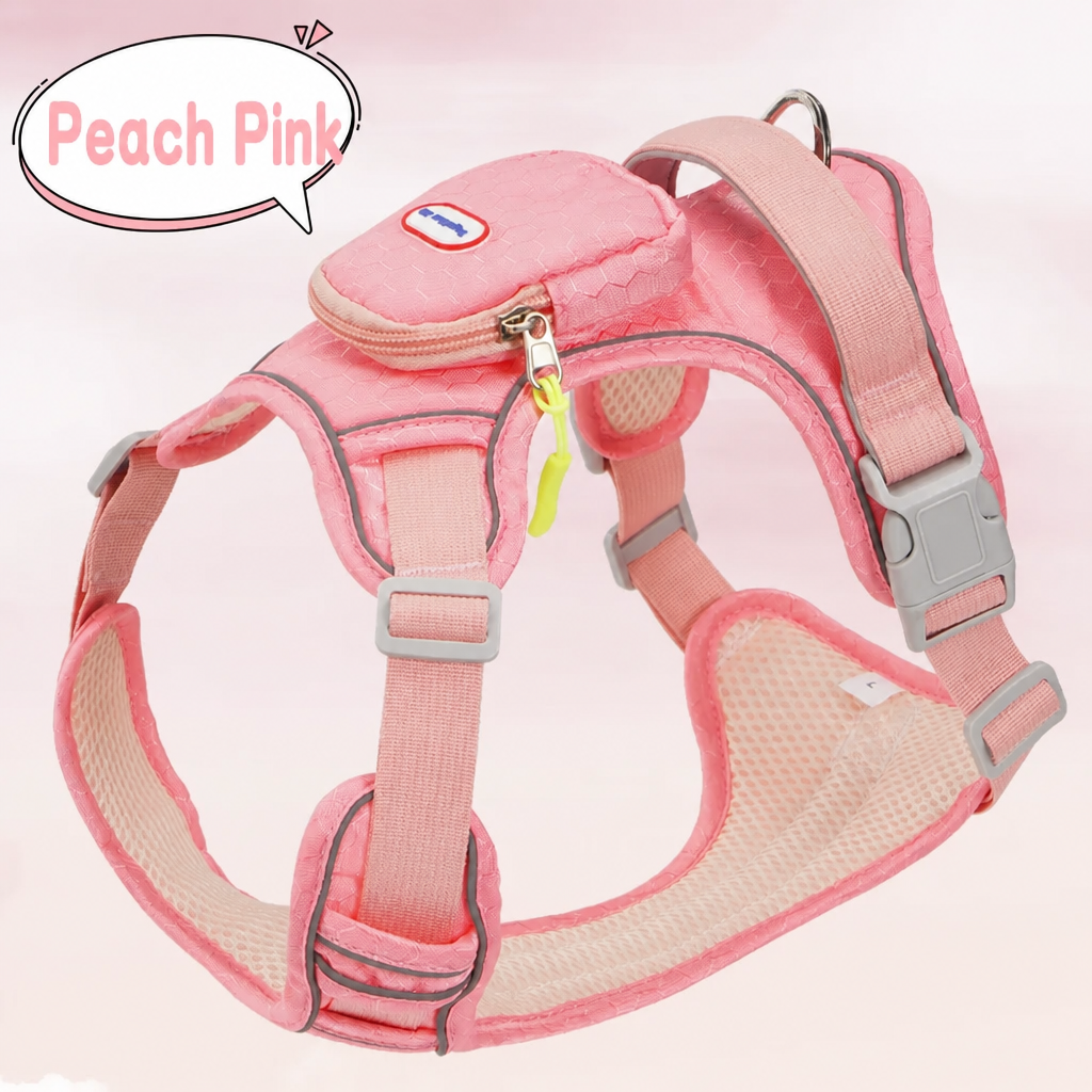 No-Pull Dog Harness & Leash Se - head_006.png