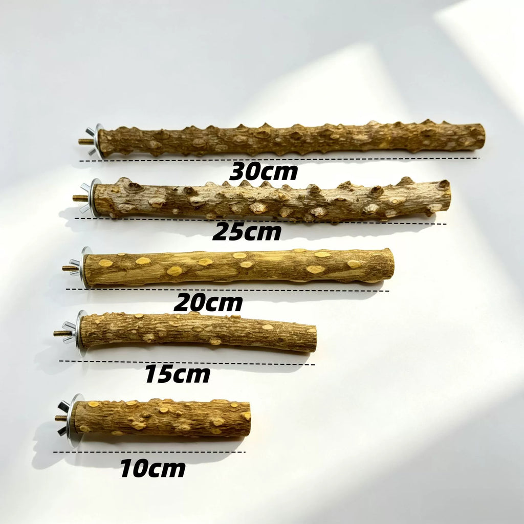 Natural Prickly Ash Wood Perch - head_006.webp