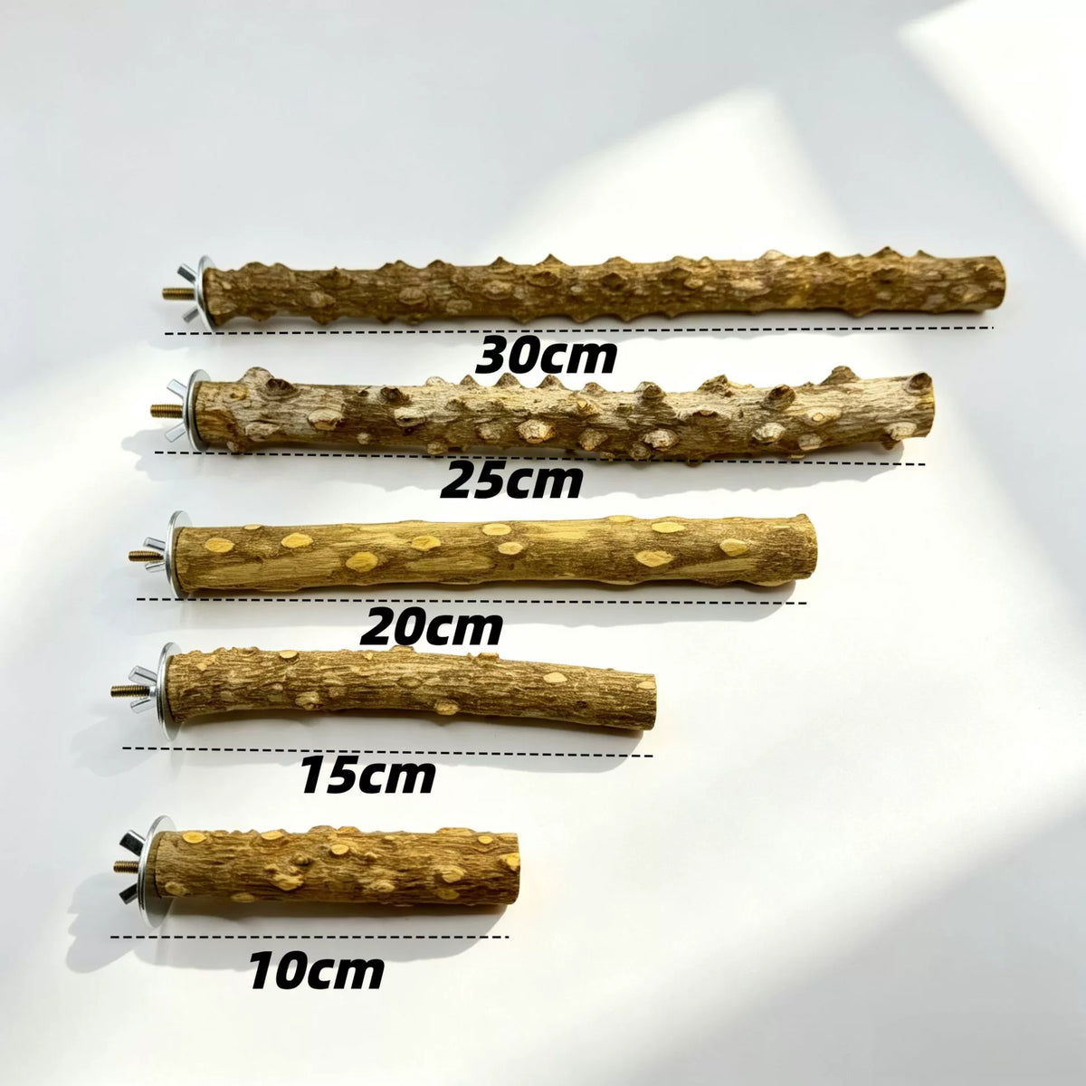 Natural Prickly Ash Wood Perch - head_006.webp