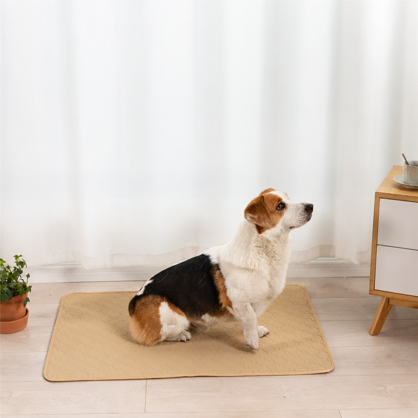 Washable Reusable Pet Urine Pa - head_007.png