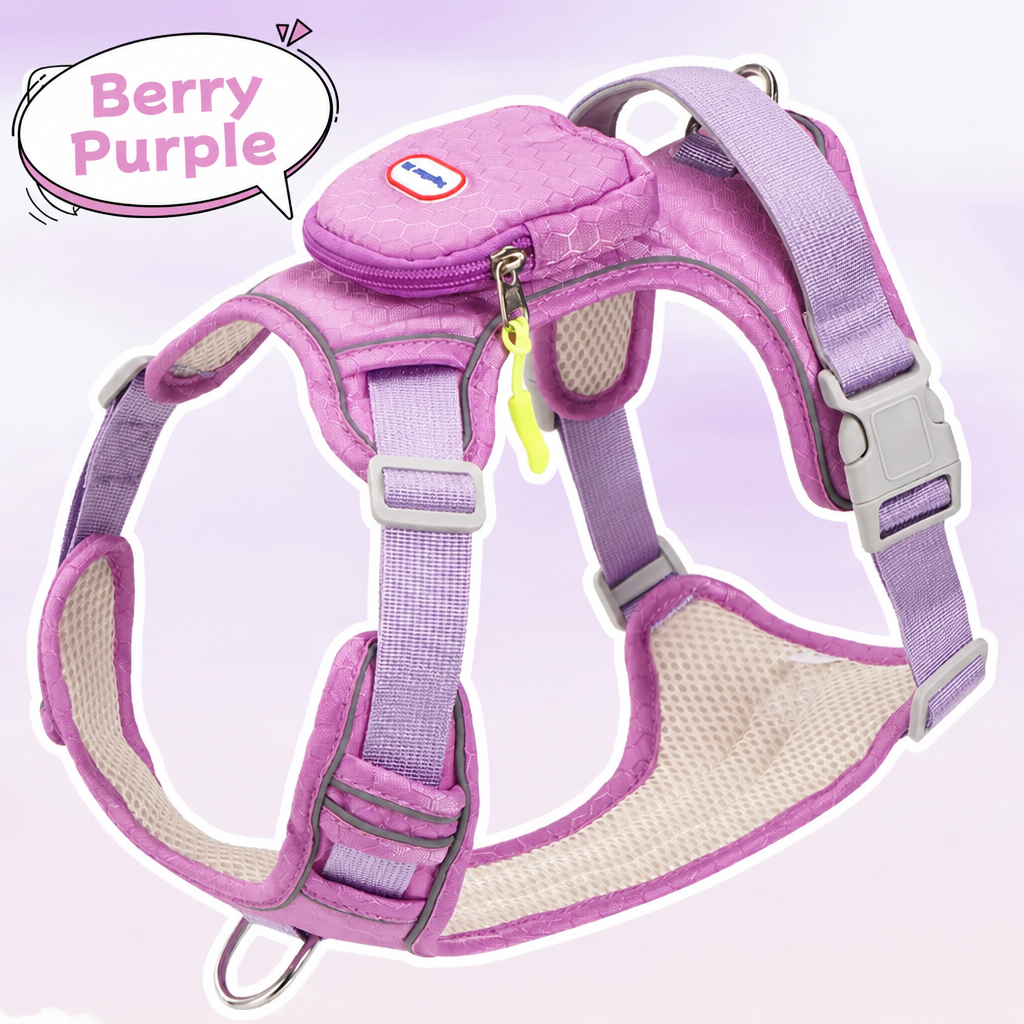 No-Pull Dog Harness & Leash Se - head_007.png